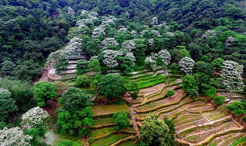 广州文化美景
